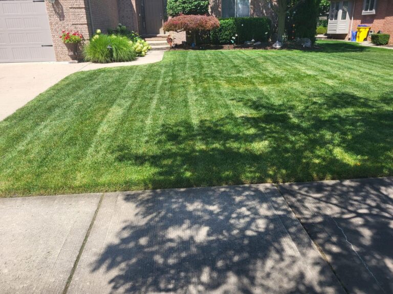 Green Lawn Stripes Kentucky