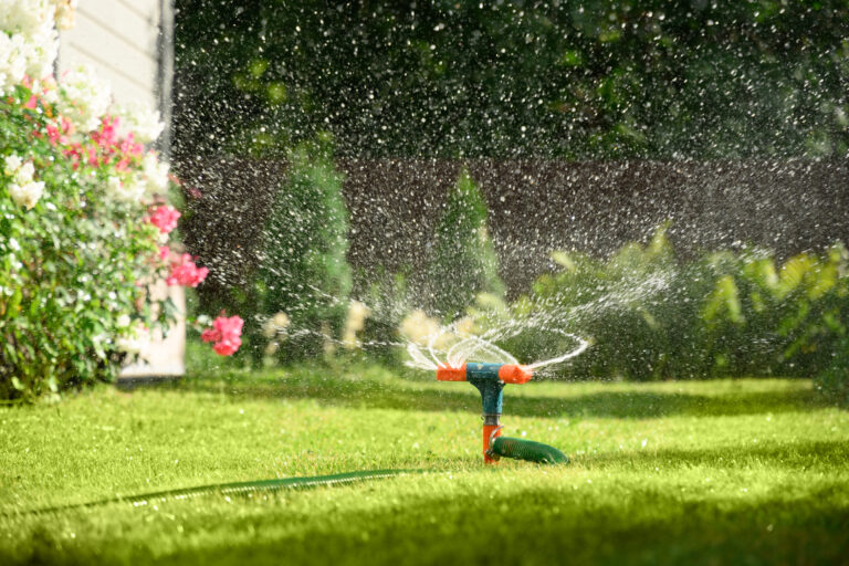 Sprinkler spraying water across a green lawn beside garden plants