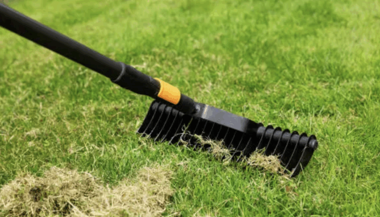 Fall Lawn Care Checklist